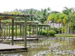 -中国科学院西双版纳热带植物园