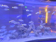 -上和臻品中国菜(花园街店)