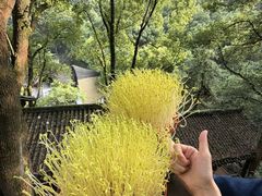 -巴倒烫陆派重庆火锅(南山店)