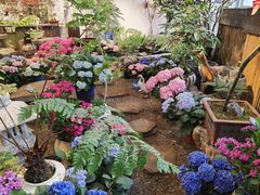 -双季花艺园艺市场(浦东店)