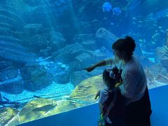 -波塞冬旅游度假区