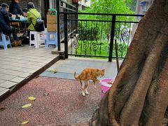 -熊面妈老面馆