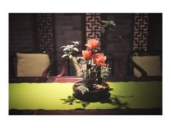 -青藤茶馆(南山路店)