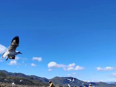 -丽江泸沽湖景区