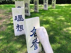 -陈家山荷花公园