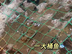 -大鼎石锅鱼(春江里店)