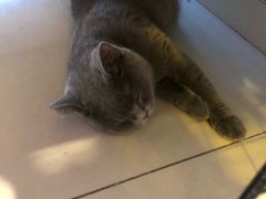 -平行世界·猫咖(首经贸店)