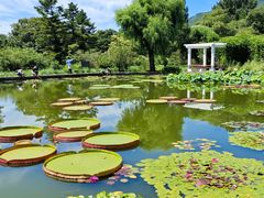 -国家植物园南园