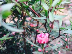 -张江润和国际总部园