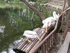 -济南野生动物世界