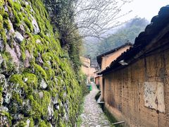 -杨家堂村