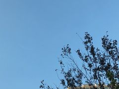 -F.Story 花和故事(新天地店)