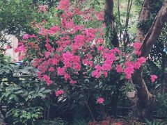 -T館·花园艺术餐厅