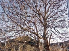 -姥家大锅台水库渔家