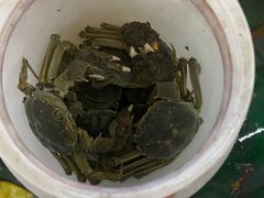 -小象钓虾·营地烧烤(洛溪店)