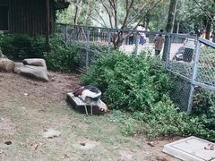 -上方山森林动物世界