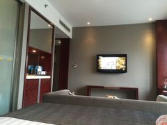 -常州环球恐龙城维景国际大酒店