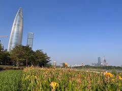 -深圳人才公园