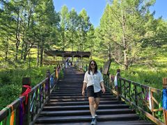 -莫尔道嘎国家森林公园