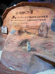 -奇幻萌宠部落(映月湖环宇城店)