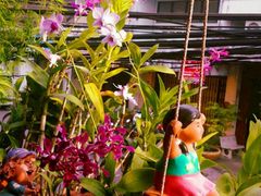 android_upload_pic-自然餐厅(Phuket)