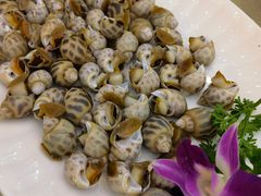 -轩记海鲜餐厅·四十五年老字号·经典粤菜(西区彩虹店)