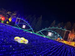 -捞渔河湿地公园