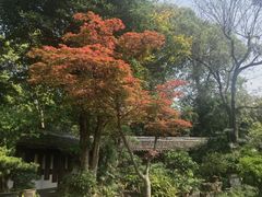-成都杜甫草堂博物馆