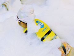 -广州融创水世界