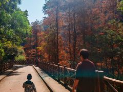 -广州莲花山旅游区