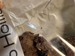 -好利来(上海虹桥新天地Lab主题店)