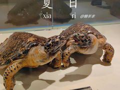 -泉城欧乐堡海洋极地世界