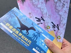 -自然谷恐龙园