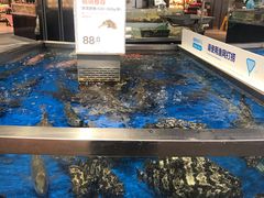 -盒马鲜生(莱蒙都会店)