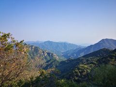 -大岭沟猕猴桃谷风景区