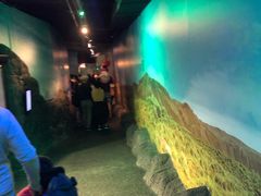 -悉尼海洋生物水族馆