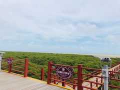 -北海金海湾红树林生态旅游区