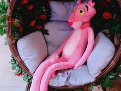 -pink baby·新晋网红打卡地
