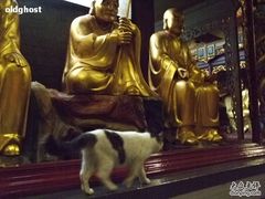 -华林禅寺