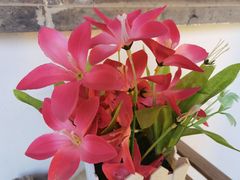 -重元寺香积厨素斋馆