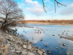 -沈阳鸟岛