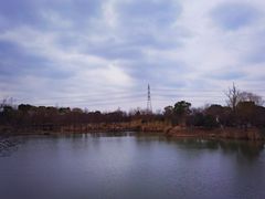 -梁鸿国家湿地公园