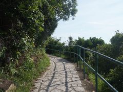 -南丫岛