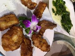 -墨脱石锅椰子鸡•香草鸭•东山羊(大东海店)