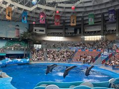 -海合安成都极地海洋公园