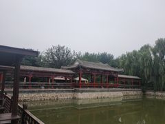 -尚庄度假村·庭台树下·户外烧烤·团建CS·轰趴营地(上庄水库店)