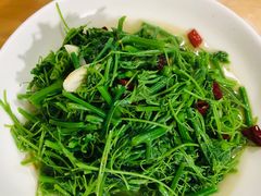 -老字号怡玺·藿香雅鱼(20年雅安店)