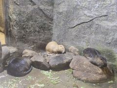 -青青世界