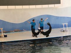 -北戴河圣蓝海洋公园