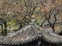 -报恩寺(平武县)